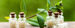 flex health and wellness products homeopathy