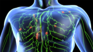Stimulate Your Lymph System to Cleanse Your Body and Protect You From Illness