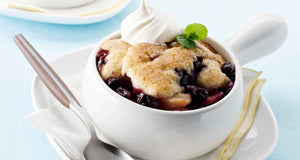 flex health and wellness recipes blueberry cobbler
