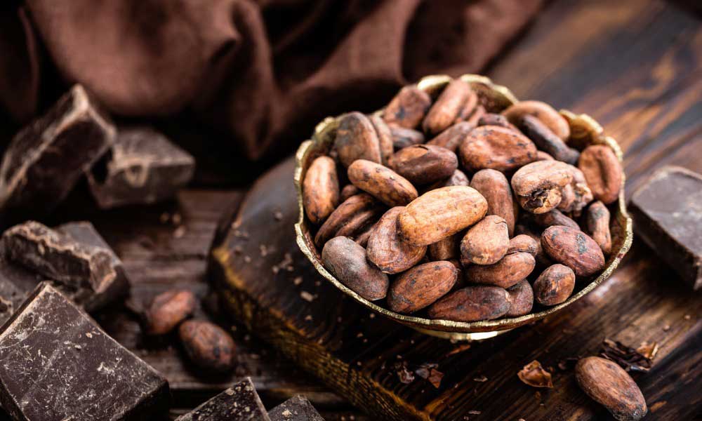 Flex health and wellness superfoods cacao