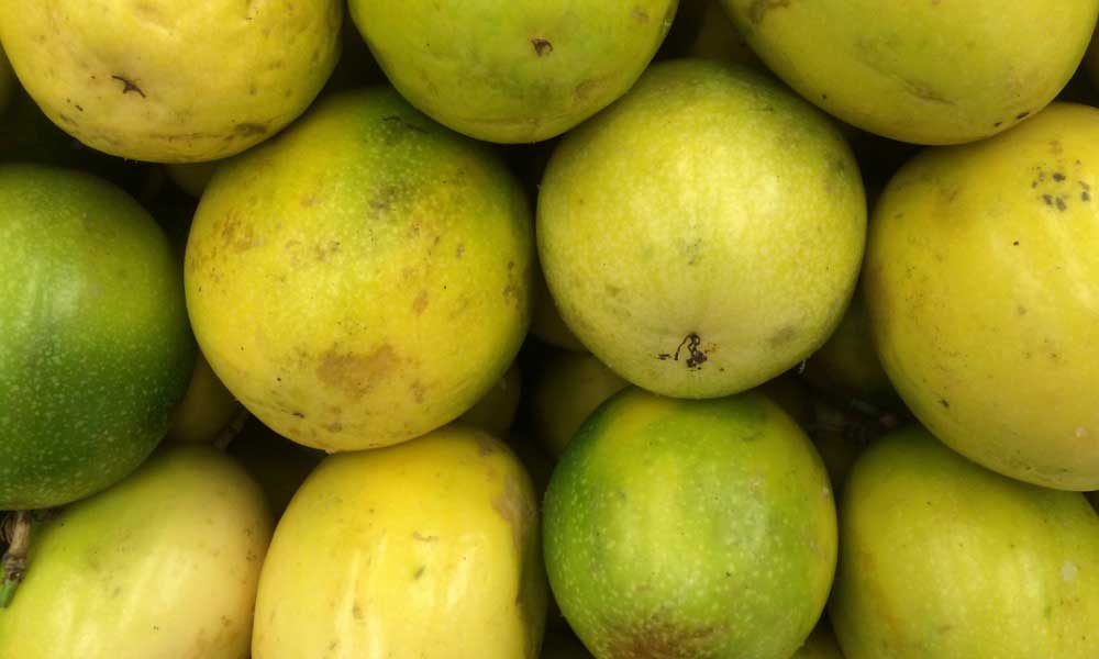 Flex health and wellness superfoods camu camu