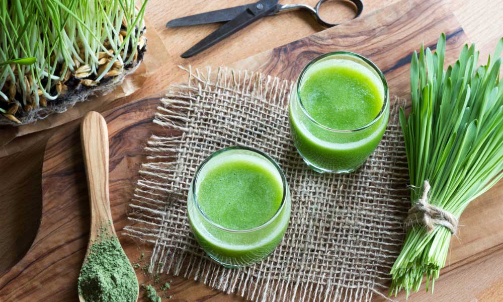 Flex health and wellness superfoods spirulina