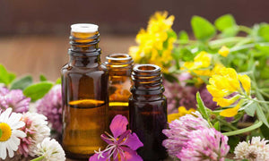 flex health and wellness products essential oils