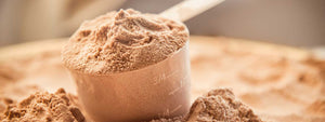 flex health and wellness products protein powder