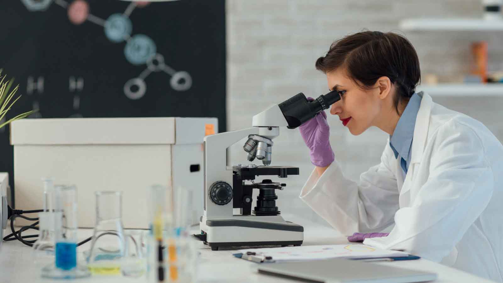 flex health and wellness services testing