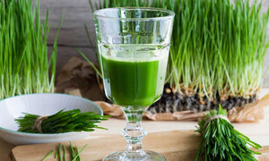 Flex health and wellness superfoods wheatgrass